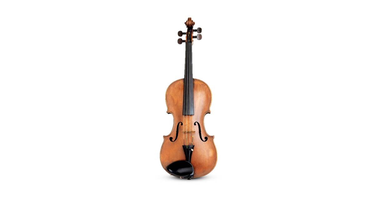 violin