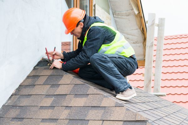 Professional Roof Cleaning Service